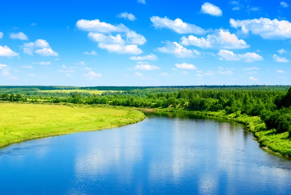Река Летняя Природа — стоковое фото