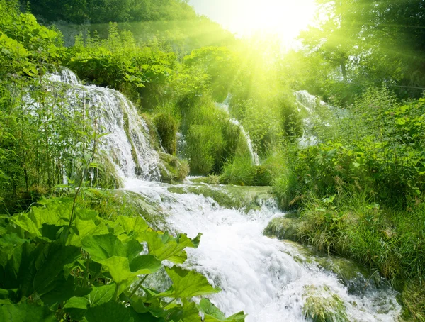 Waterfall Deep Forest — Stock Photo, Image