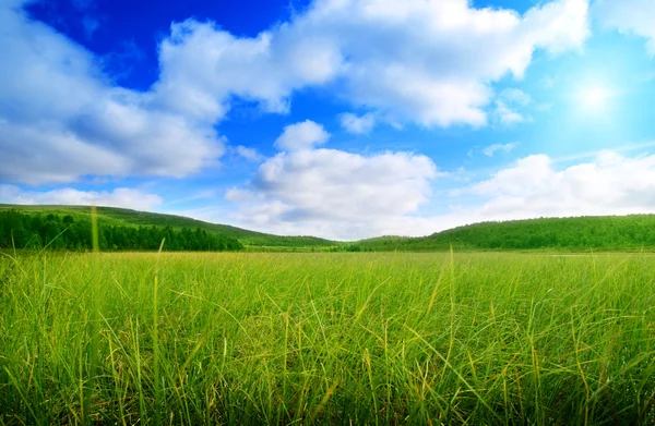 北の山と緑の草 — ストック写真