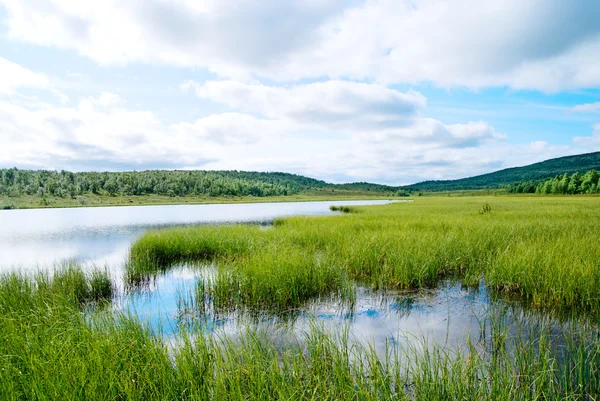 北の山の湖と緑の草 — ストック写真