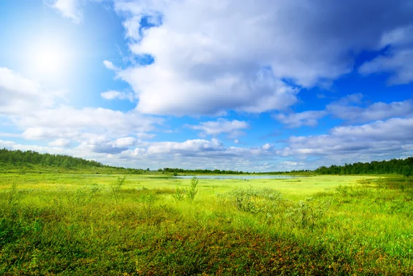 Трава и северная гора — стоковое фото