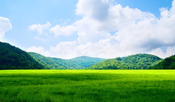 Зеленое Поле Горы — стоковое фото