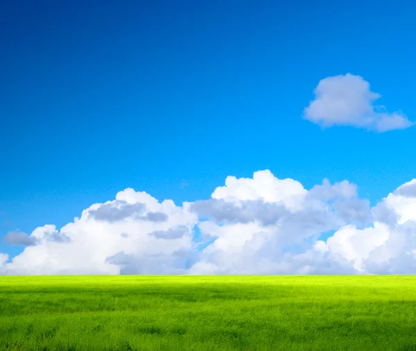完美绿色的原野和天空 — 图库照片