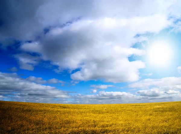 Perfektes Feld und blauer Himmel — Stockfoto