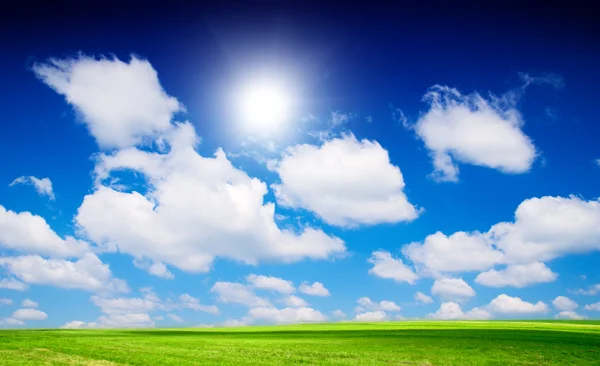 完美的草甸和完美的蓝色天空 — 图库照片