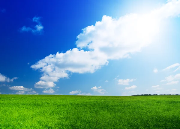 Zielone Pole Błękitne Niebo — Zdjęcie stockowe