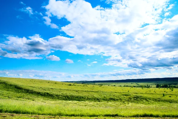 Lato Pejzaż Pole Trawa Zielony — Zdjęcie stockowe