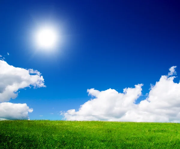 Feld Aus Frischem Sommergras Und Wolken — Stockfoto
