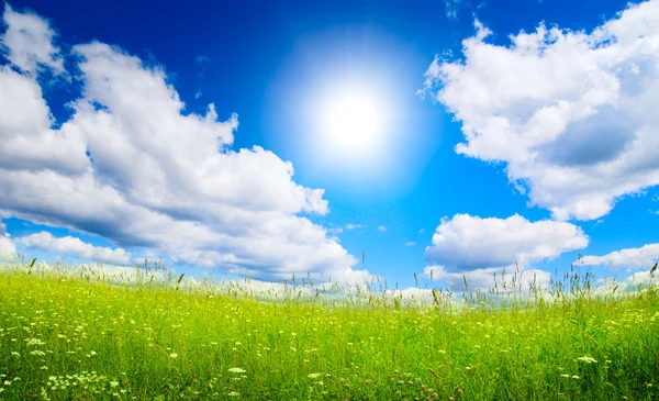 夏日的青草和云彩 — 图库照片
