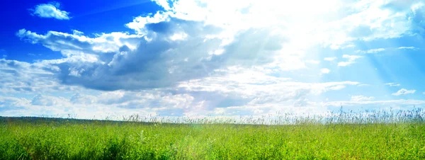 新鮮な夏の草と雲のフィールド — ストック写真