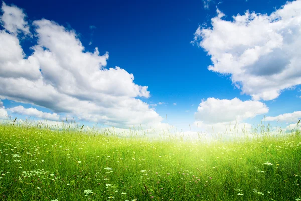 Veld van verse zomer gras en wolken — Stockfoto