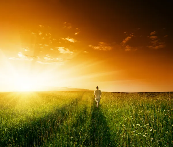 一个人 一片夏草和夕阳 — 图库照片
