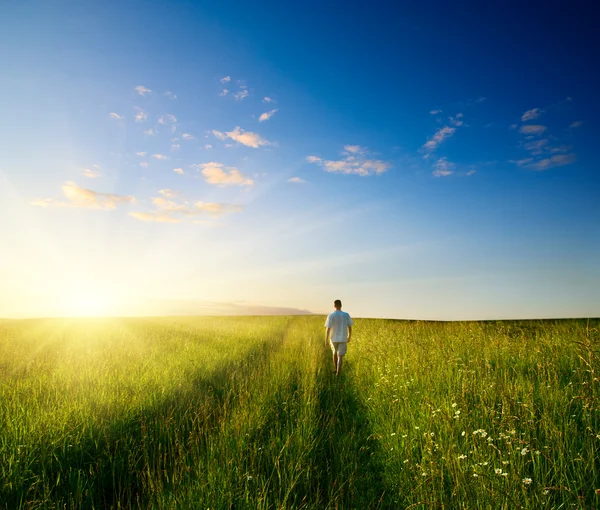 Один человек и поле летней травы — стоковое фото