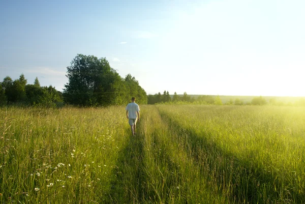 Bir adam ve alan yaz çimen — Stok fotoğraf