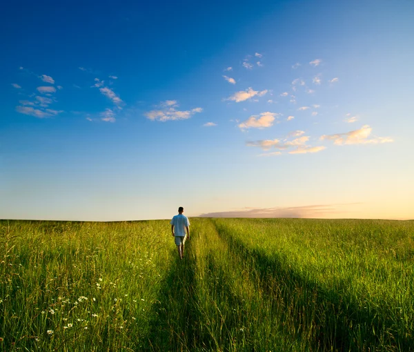 夏の草と夕日の一人の男とフィールド — ストック写真