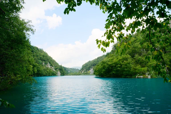Lago Nella Foresta Profonda — Foto Stock