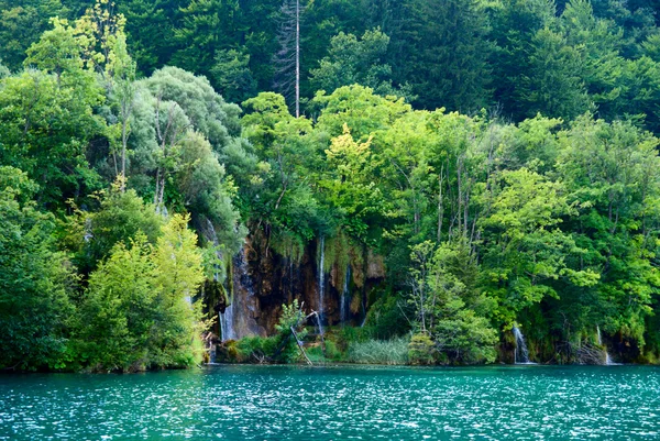 Озеро Глибокому Лісі — стокове фото