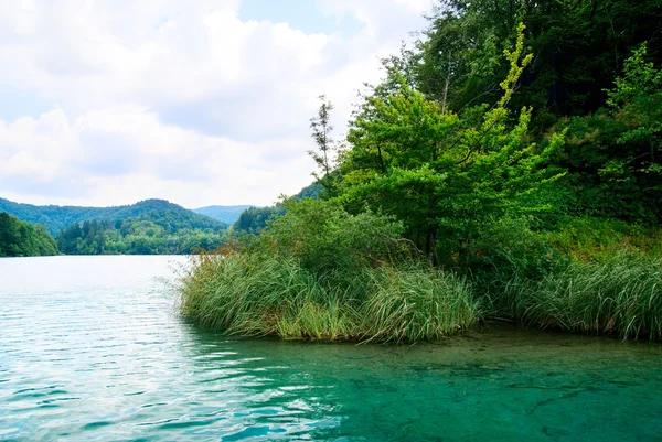 Lago Nella Foresta Profonda — Foto Stock