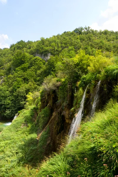 Derin Orman Şelale — Stok fotoğraf