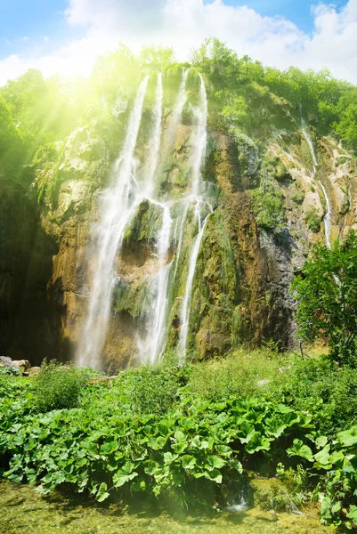 Wasserfall im tiefen Wald — Stockfoto