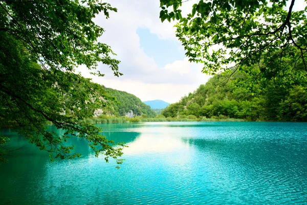 Lac en forêt profonde — Photo
