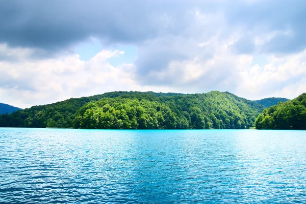 Lago Bosque — Foto de Stock