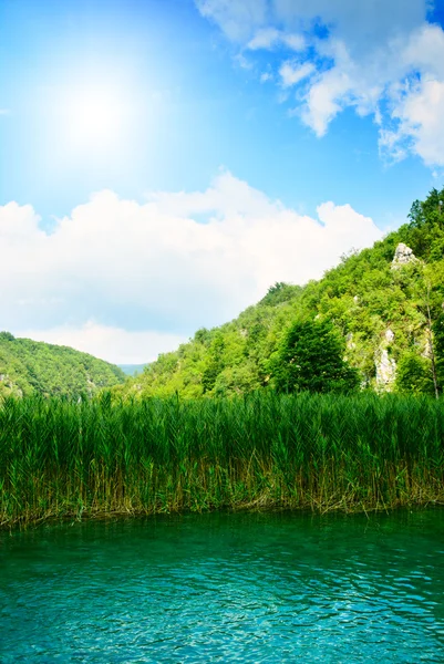 Лесной Камень Озеро — стоковое фото