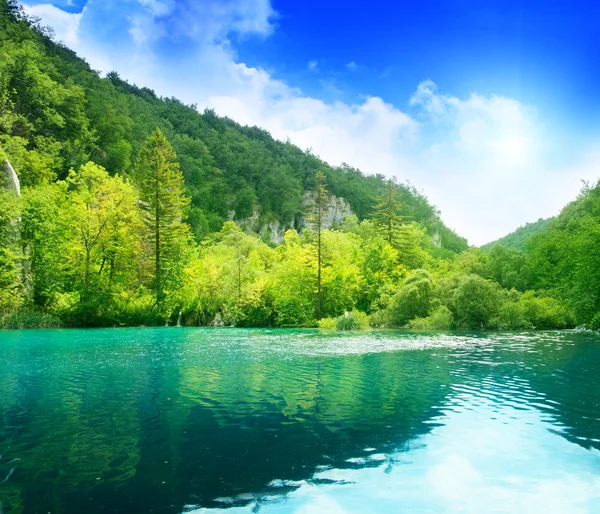 Lake in deep forest — Stock Photo, Image