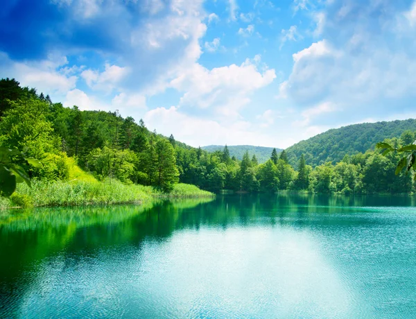 Grönt vatten sjö i skogen — Stockfoto