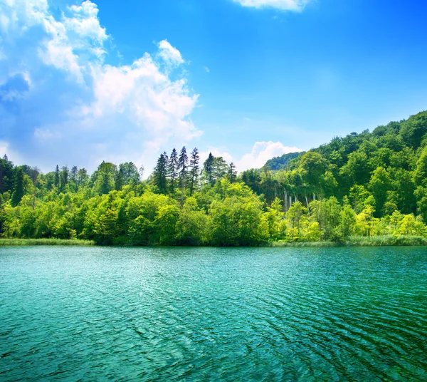 Grüner Wassersee — Stockfoto