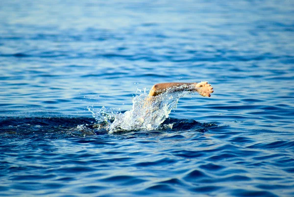 Stock image Swimming man