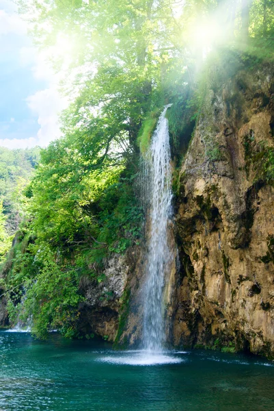Wodospad Głębokim Lesie — Zdjęcie stockowe
