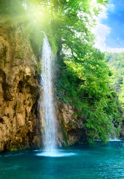 Wasserfall Tiefen Wald — Stockfoto