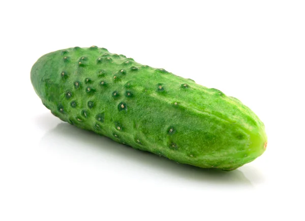 Verse Kleine Komkommers Geïsoleerd Witte Achtergrond — Stockfoto