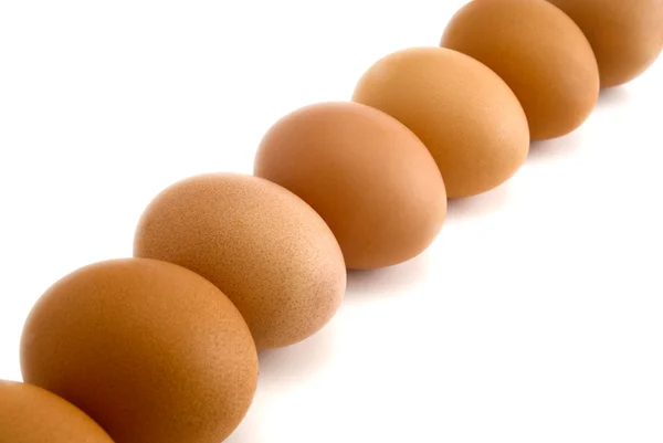 白い背景に隔離された卵 — ストック写真