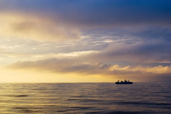 Statku Przetwórni Północnym Atlantyku Połowów Macrell — Zdjęcie stockowe