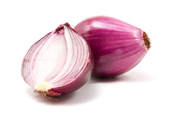 Φέτες oninon — Φωτογραφία Αρχείου