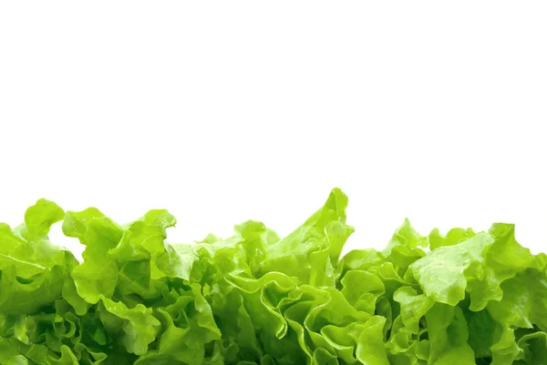 Salată Verde Izolată Fundal Alb — Fotografie, imagine de stoc