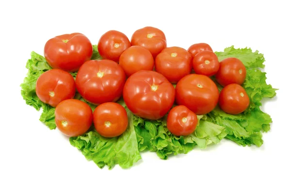 Tomates e alface — Fotografia de Stock