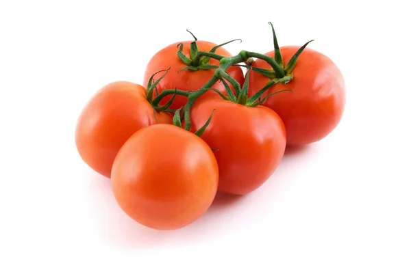 Pomidory Białym Tle Białym Tle — Zdjęcie stockowe
