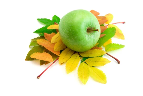 Autumn Leaves Rowan Tree Green Apple Isolated — Stock Photo, Image