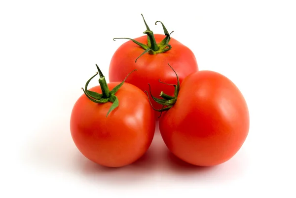 Pomidory Białym Tle Białym Tle — Zdjęcie stockowe