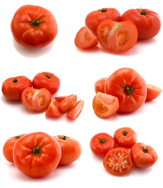 Página Tomates Isolados Fundo Branco — Fotografia de Stock