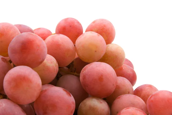 Winogron winorośli — Zdjęcie stockowe