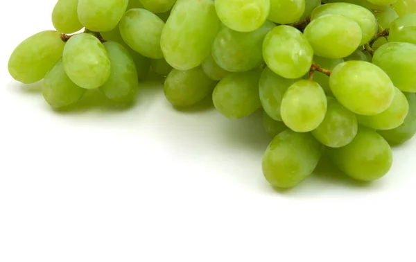 Uvas de videira verde — Fotografia de Stock