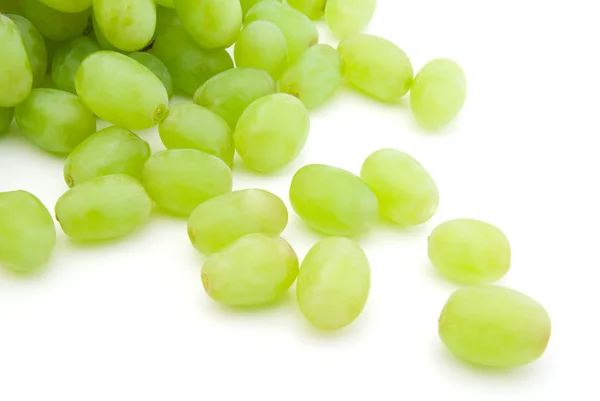 Зеленая виноградная лоза — стоковое фото