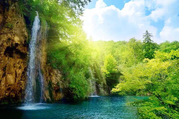 Wasserfälle Tiefen Wald — Stockfoto
