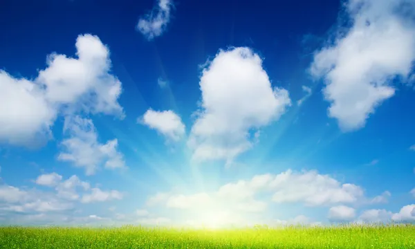 Летние цветы и голубое небо Лицензионные Стоковые Фото