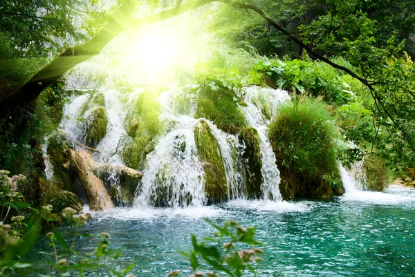 Waterfall — Stock Image Waterfall Stock Photo