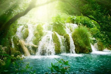 Waterfall in deep forest clipart